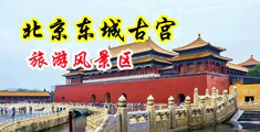 烂逼轮操视频日本韩国中国北京-东城古宫旅游风景区